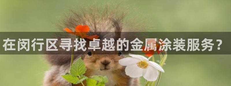 美高梅外套
