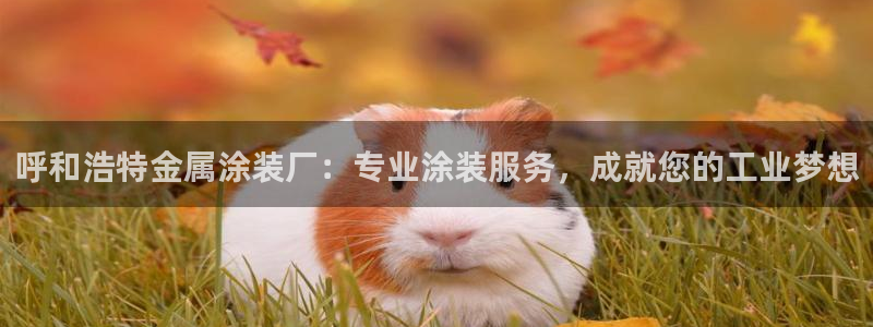 美高梅VIP音乐会