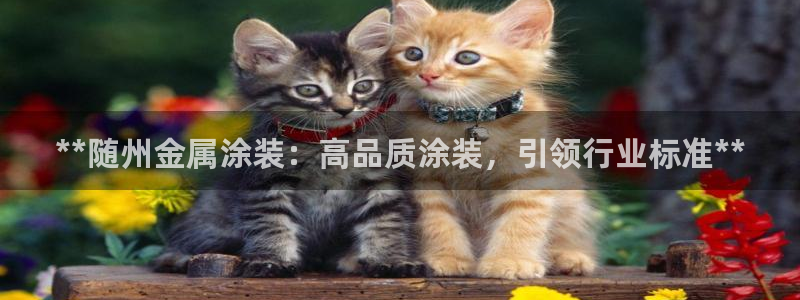 美高梅酒店澳门图片