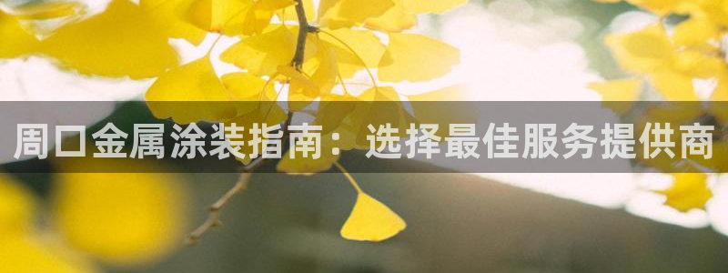 何超琼投资美高梅