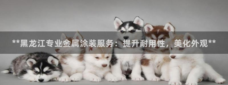 美高梅会员卡图片