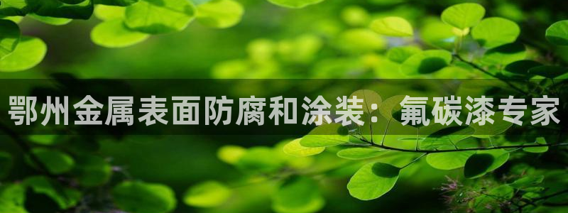何超琼建美高梅酒店有什么意义
