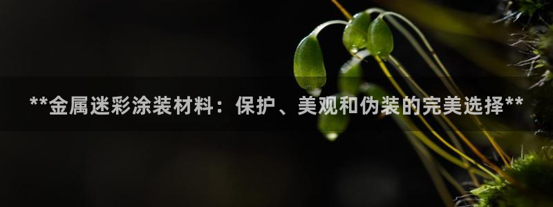 美高梅酒店门口的大狮子叫什么