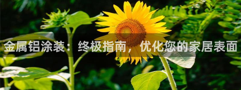 美高梅酒店是哪个国家