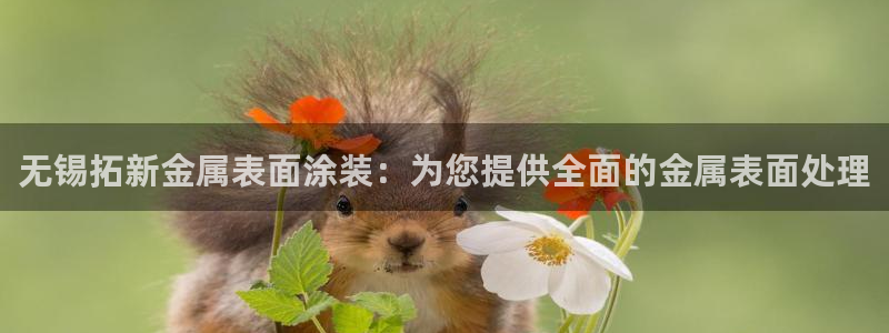美狮美高梅酒店附近吃的