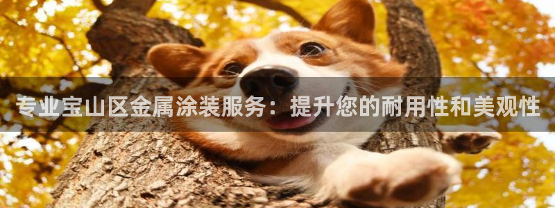 美高梅别墅是精装吗还是毛坯