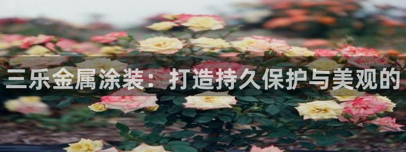 美高梅酒店免费的什么茶