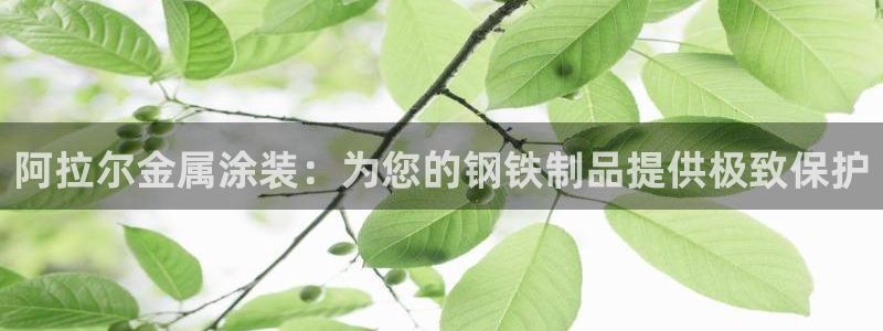 美高梅酒店拖鞋