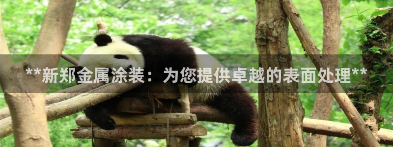 美高梅开业时间