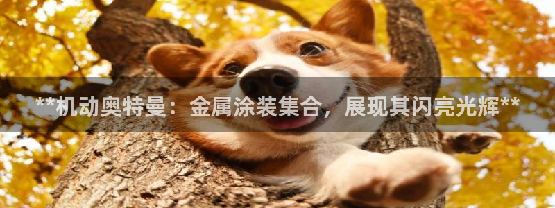 美高梅广场房价会涨吗