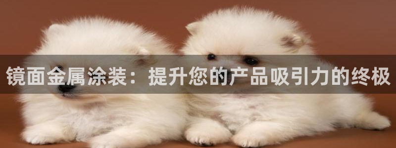 美高梅1000万筹码兑换人民币