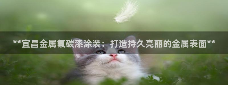 美高梅客户服务中心地址