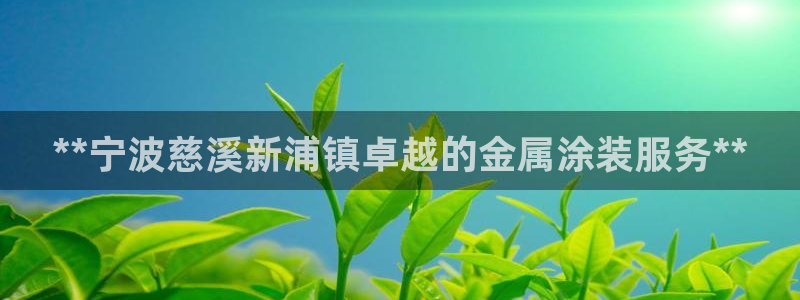 美高梅投资是真的吗