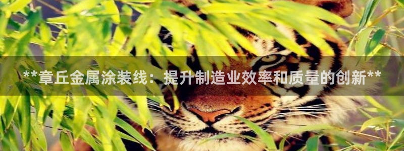 鲁能钓鱼台美高梅楼盘详情