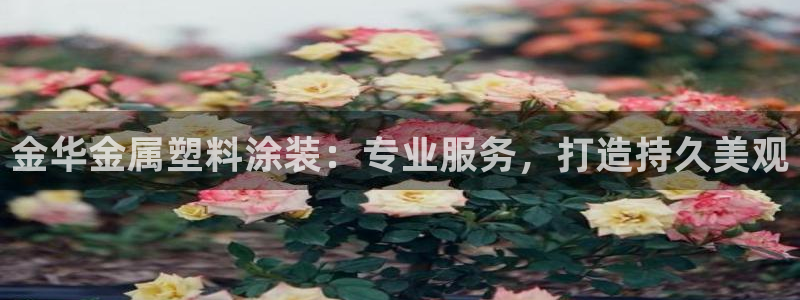 美高梅酒店管理有限公司