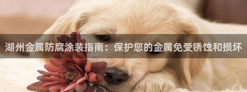 美高梅酒店免费奶茶是真的吗