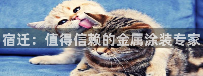 美高梅儿童乐园官网