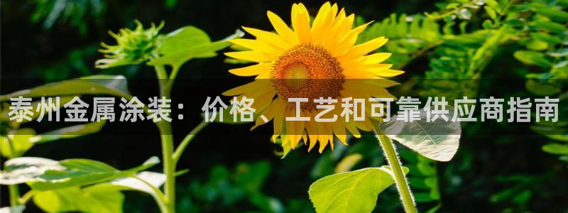 美高梅ios