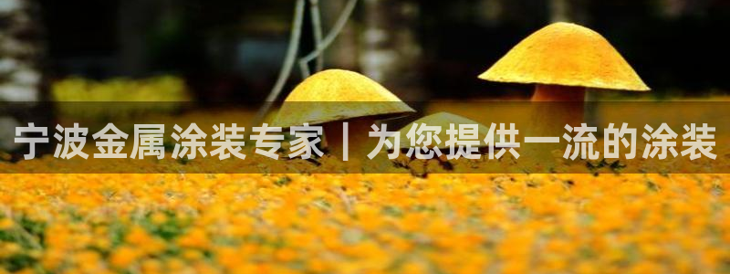 美狮美高梅酒店奶茶图片