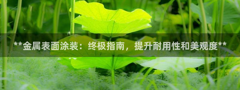 美高梅空中海洋秀到底在哪个地方