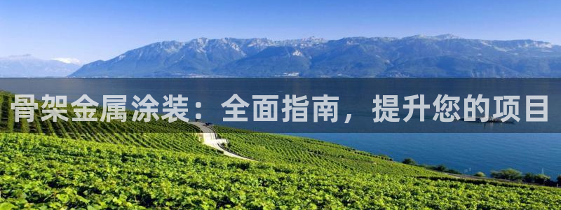 美高梅酒店集团简介