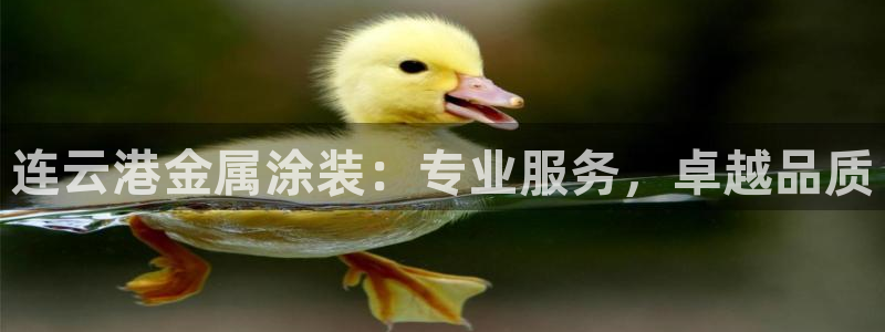 美高梅酒店表演时间