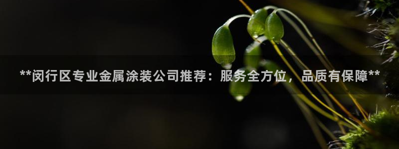 美狮美高梅穿梭巴士时刻表