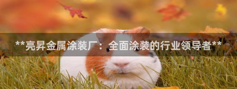 美高梅会员卡在哪里办