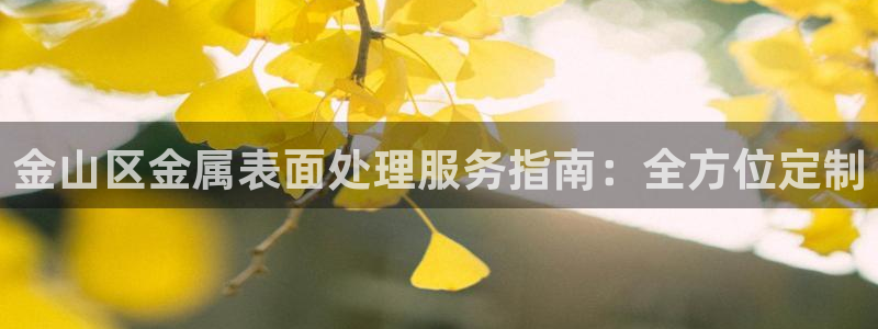 美高梅酒店门口的大狮子