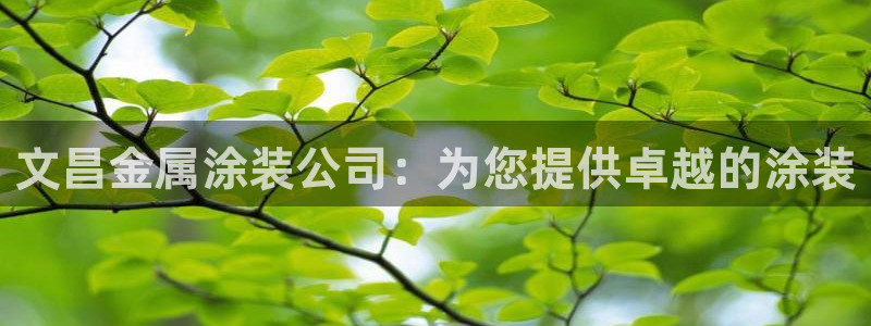 美高梅全国有几家