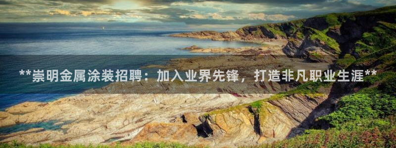 美高梅会员卡图片