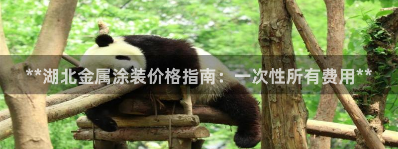 美高梅酒店名字的由来