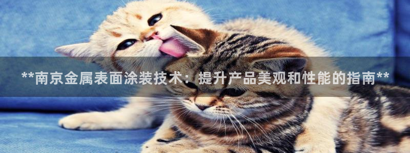 美高梅北京项目