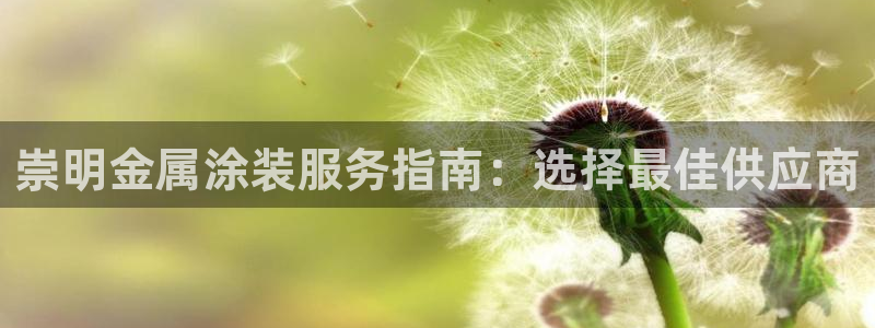 美高梅是谁的?