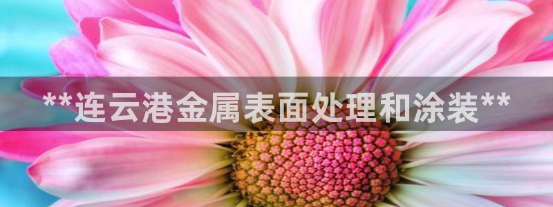 美高梅会员卡多少钱