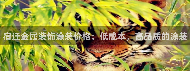 美高梅衣服外套