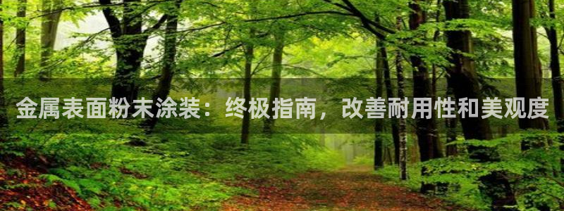 美高梅控股有限公司