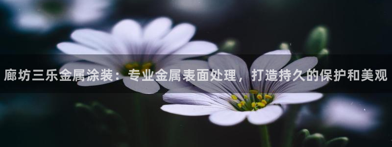 美高梅公司在中国上市