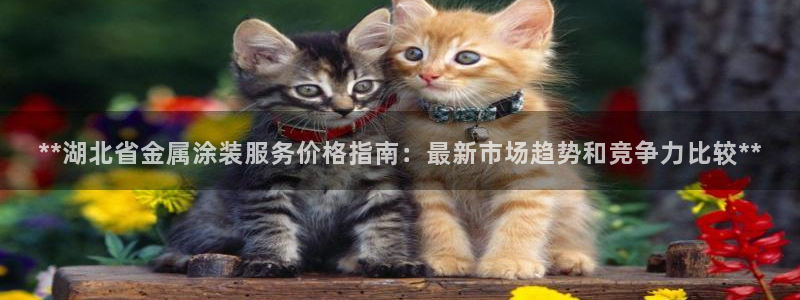 美高梅酒店多少钱一晚上海