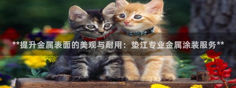 美高梅大酒店是多少星级的