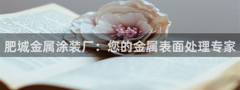 美国美高梅集团市值