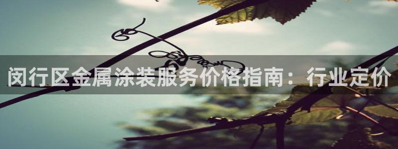 美高梅公司的社会信用代码查询