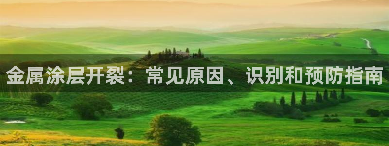 美高梅黑我钱怎么办