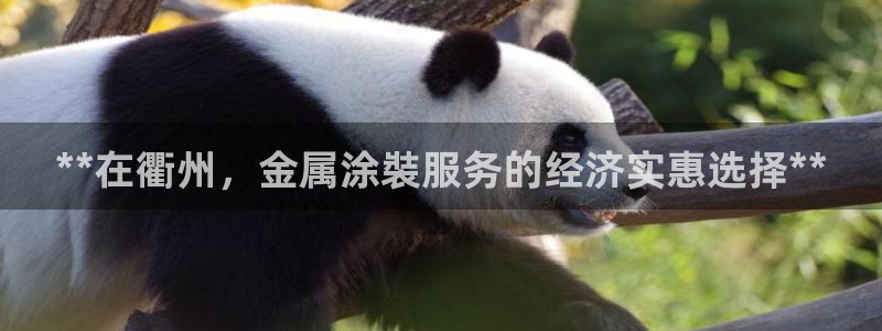 美高梅一千万筹码