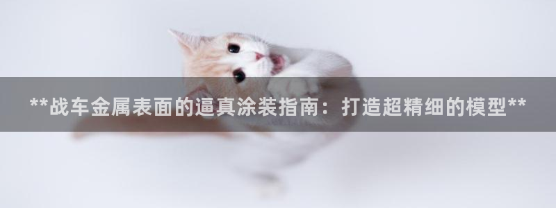 美高梅酒店是几星级