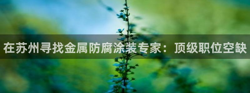 美高梅为什么叫这个名字