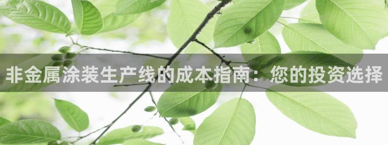 澳门新开美高梅的酒店