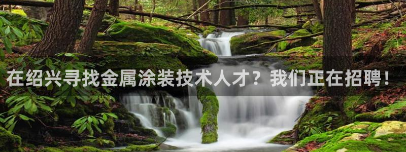 美狮美高梅酒店谢霆锋