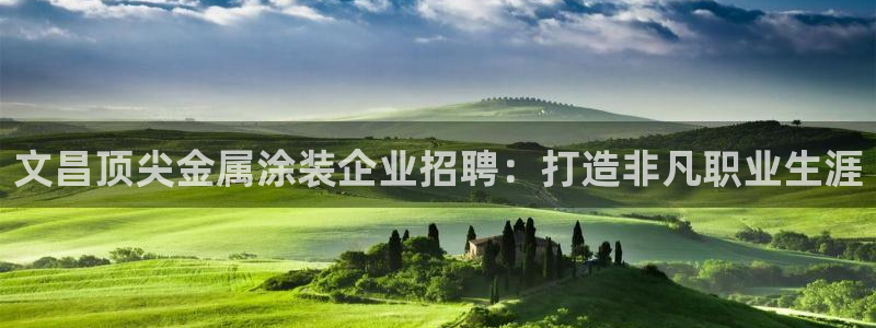 美高梅是上市公司吗
