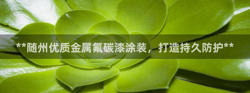 美高梅1000万筹码图片